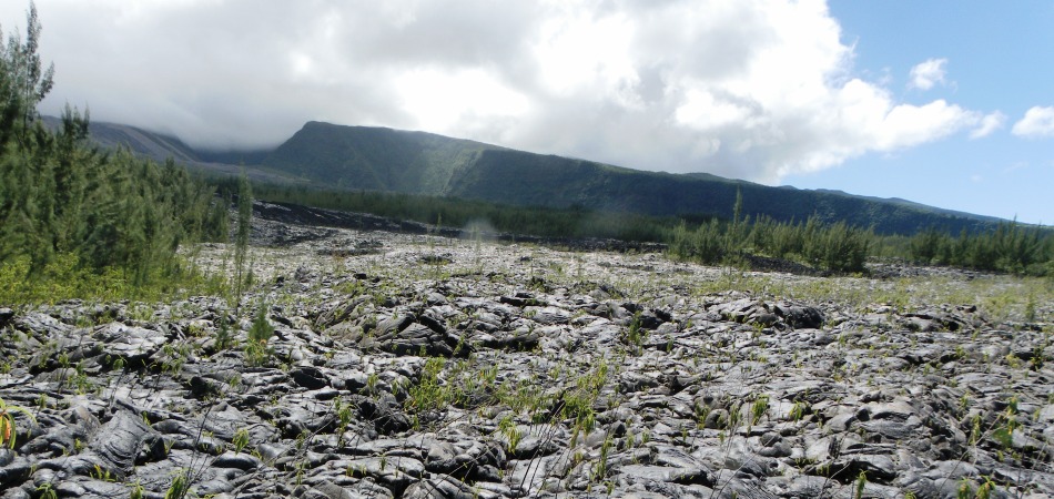 Coulée de lave du Sud Sauvage