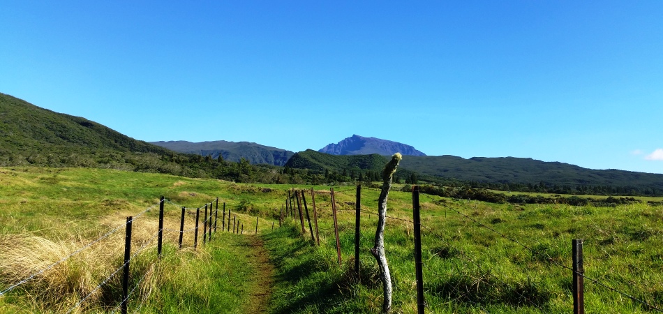 Plaine des Cafres - sentier vers Piton des Neiges