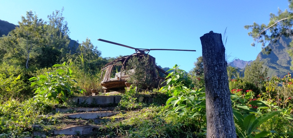 Hélicoptère en bois de goyaviers