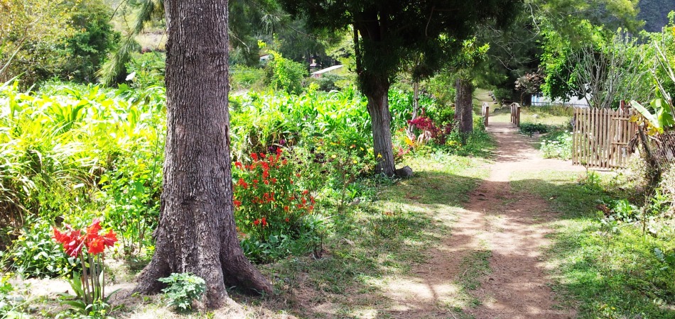 chemin Aurère